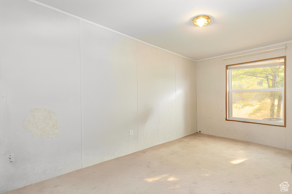 Unfurnished room featuring ornamental molding and carpet floors