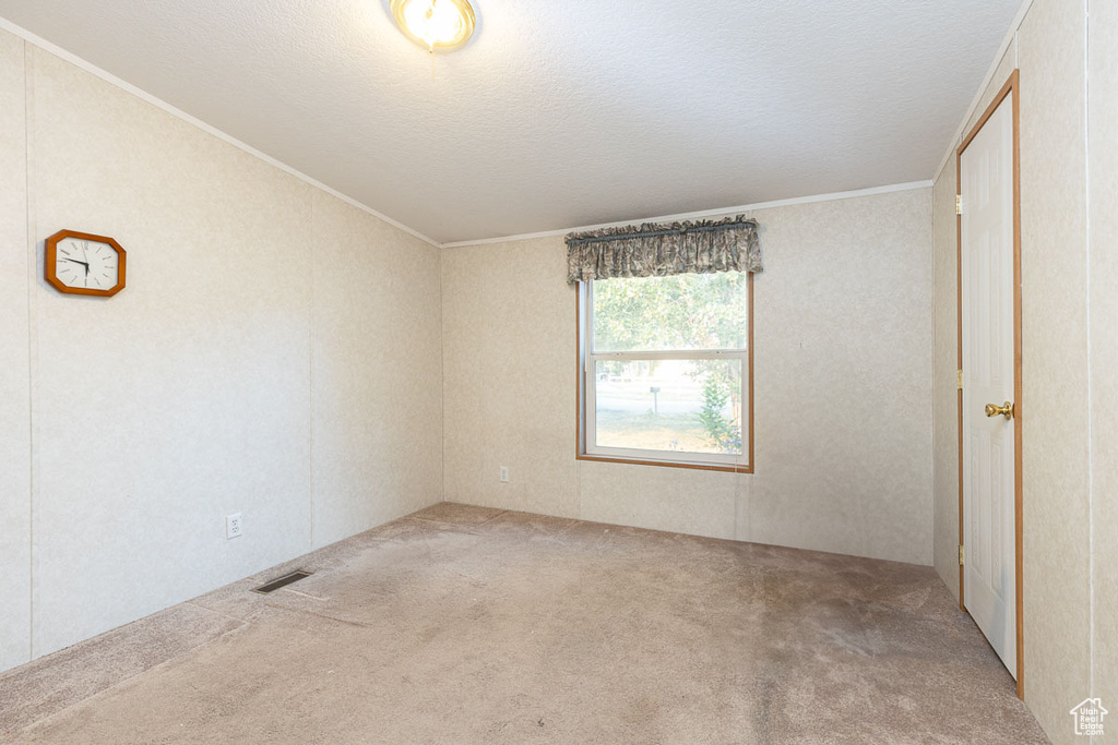 Carpeted empty room featuring ornamental molding and a textured ceiling