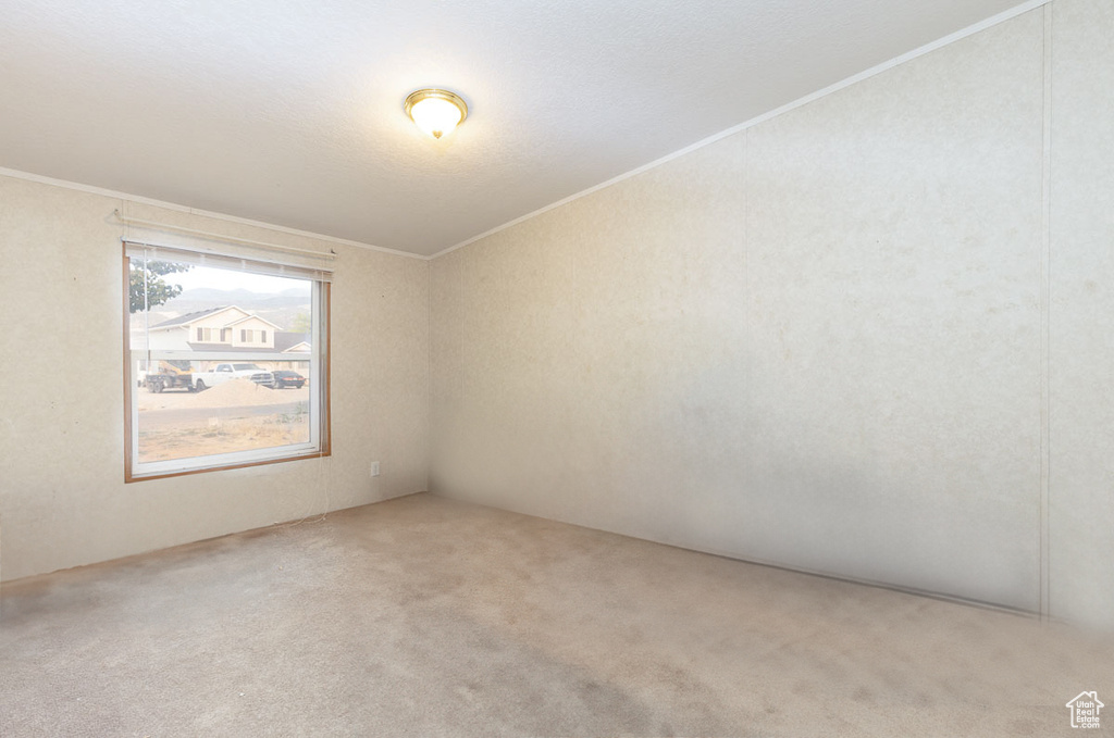 Spare room with ornamental molding and carpet