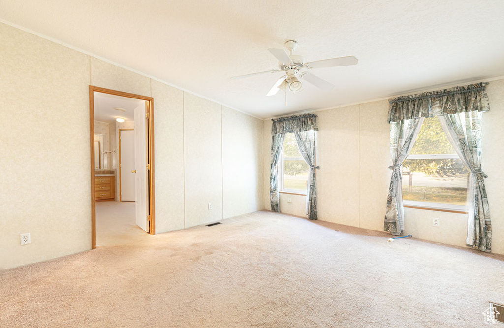 Spare room with crown molding, a ceiling fan, and carpet floors