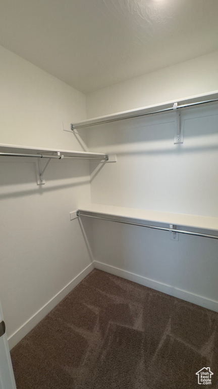 Walk in closet with dark colored carpet