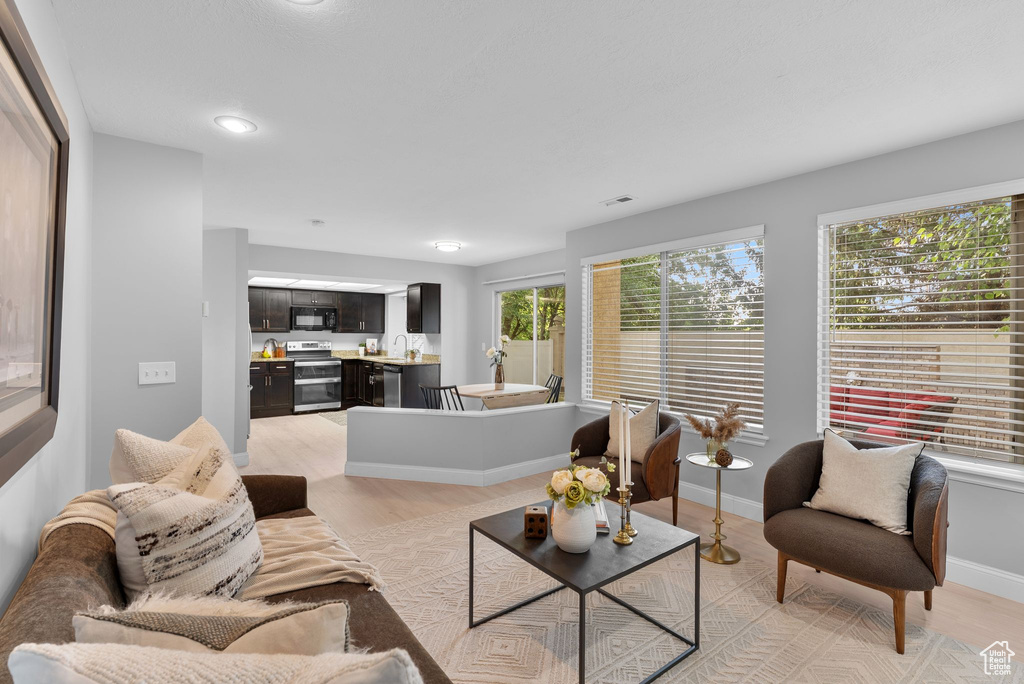 Living room featuring light wood-style floors