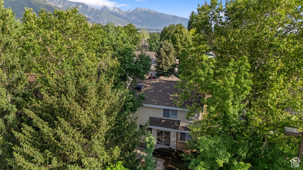 View of mountain background