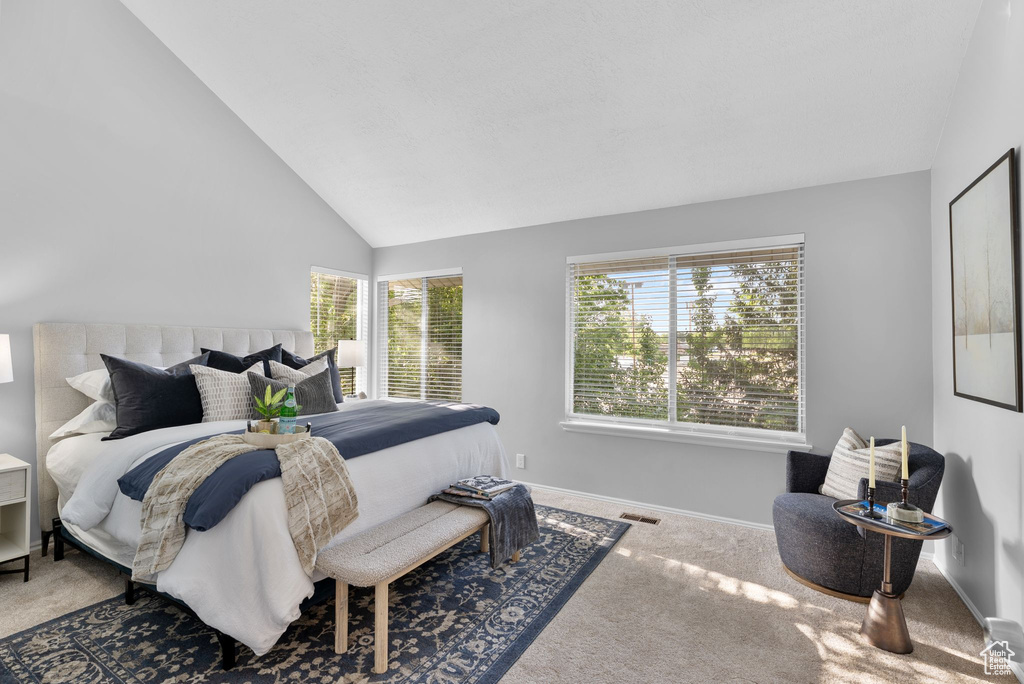 Bedroom with lofted ceiling and carpet floors