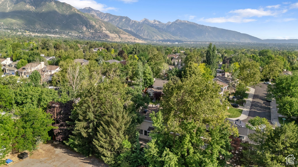 View of mountain backdrop with a heavily wooded area