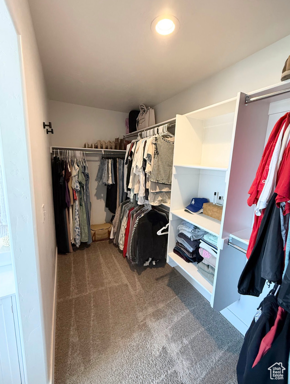 Spacious closet featuring carpet flooring