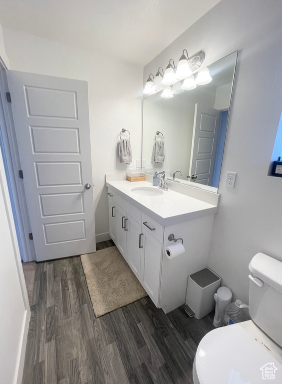 Bathroom featuring wood finished floors and vanity