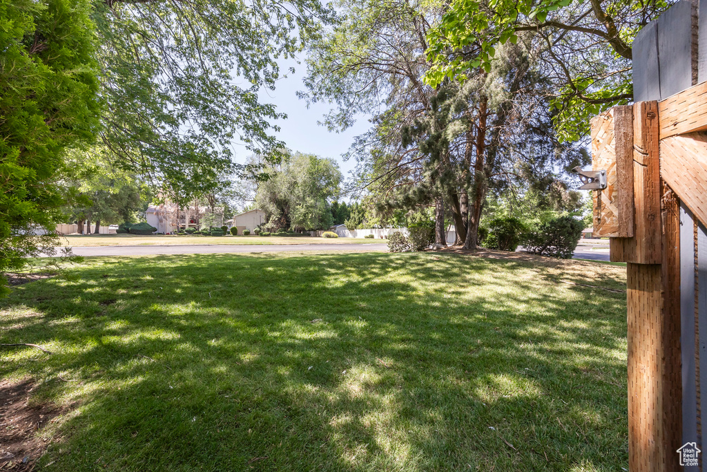 View of grassy yard