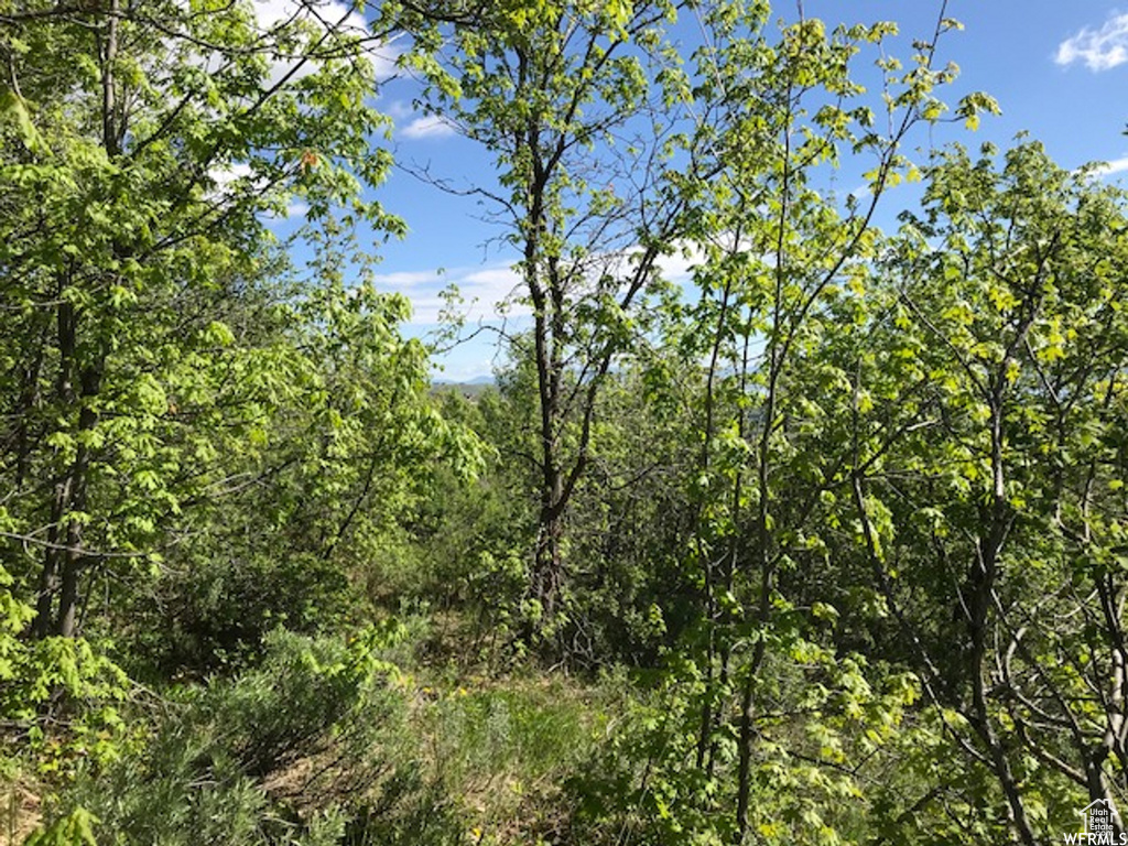 605  CALAMITY DR Fish Haven, ID 83287