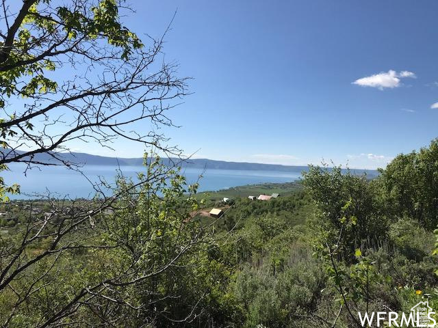 605  CALAMITY DR Fish Haven, ID 83287