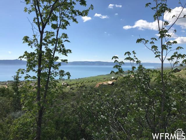 605  CALAMITY DR Fish Haven, ID 83287