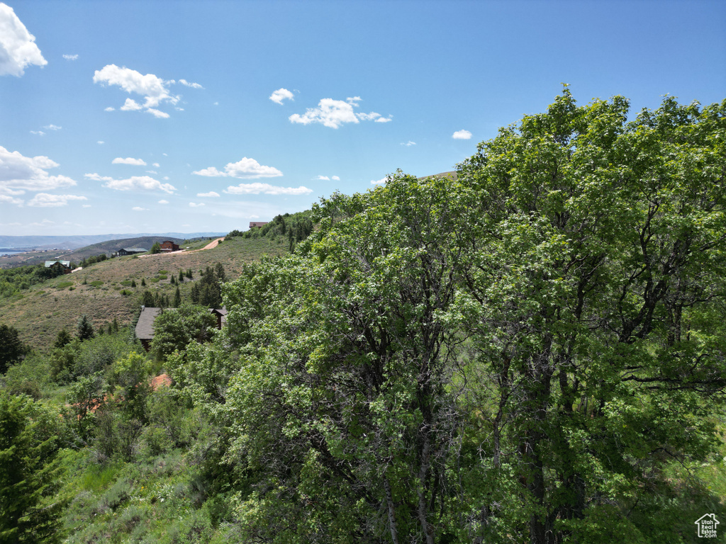 605  CALAMITY DR Fish Haven, ID 83287