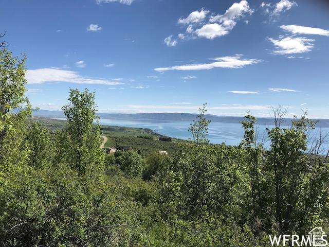 605  CALAMITY DR Fish Haven, ID 83287