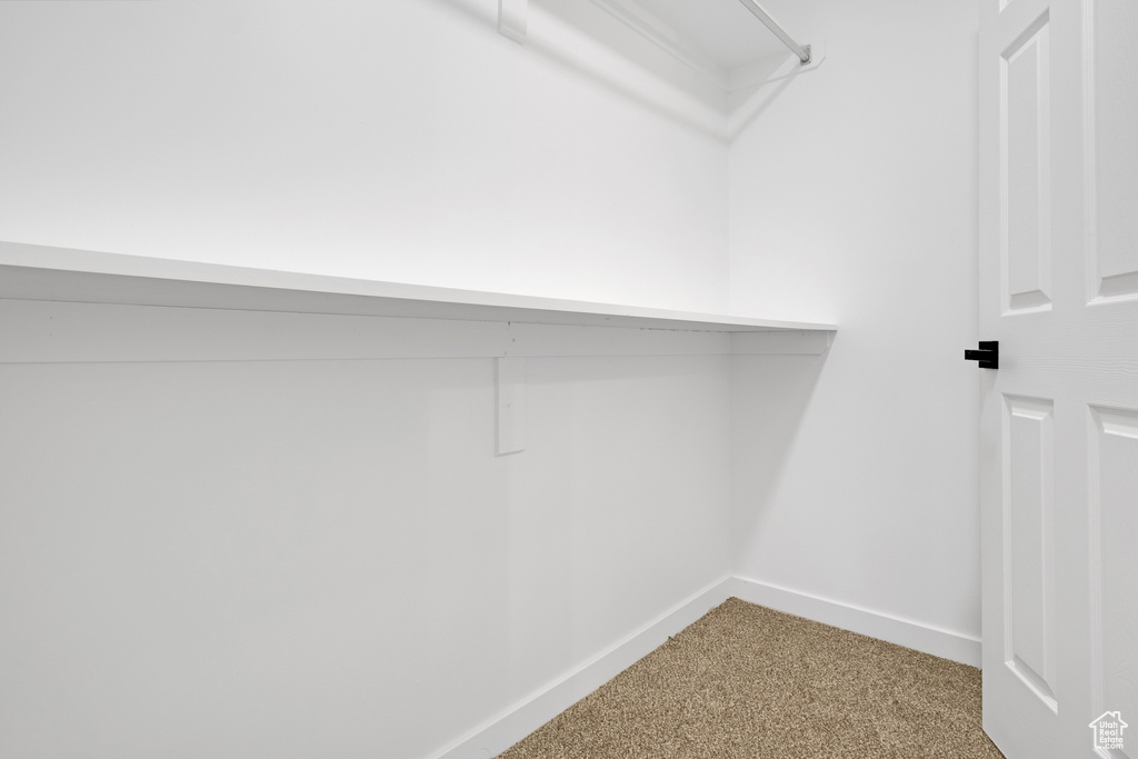 Walk in closet featuring carpet flooring