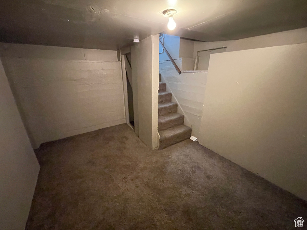 Basement with stairs and carpet flooring