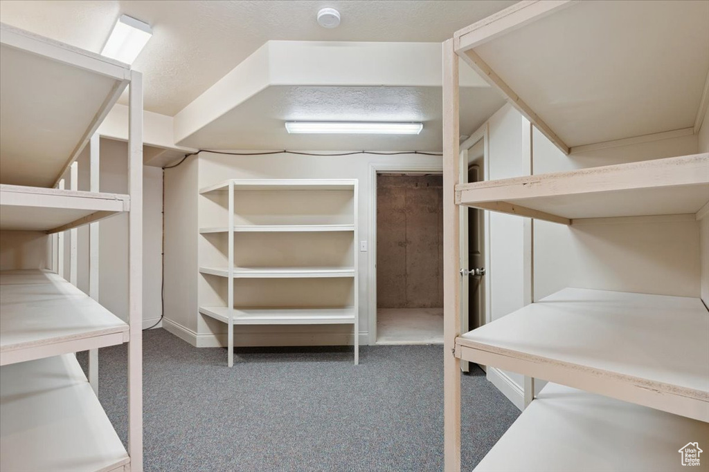 Walk in closet featuring carpet flooring