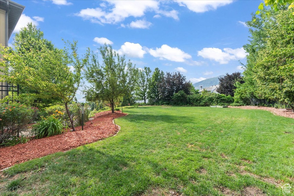 View of green lawn with a mountain view