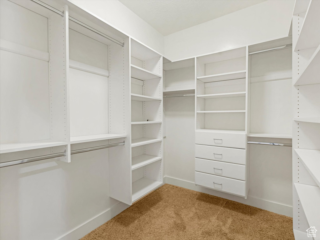 Walk in closet with light colored carpet