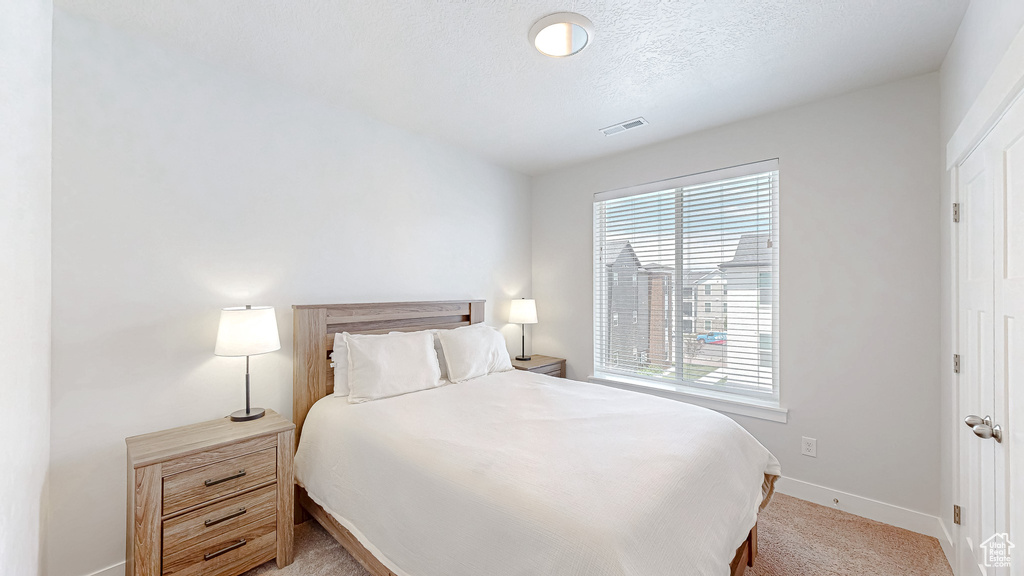 Bedroom featuring multiple windows, light carpet, and a textured ceiling