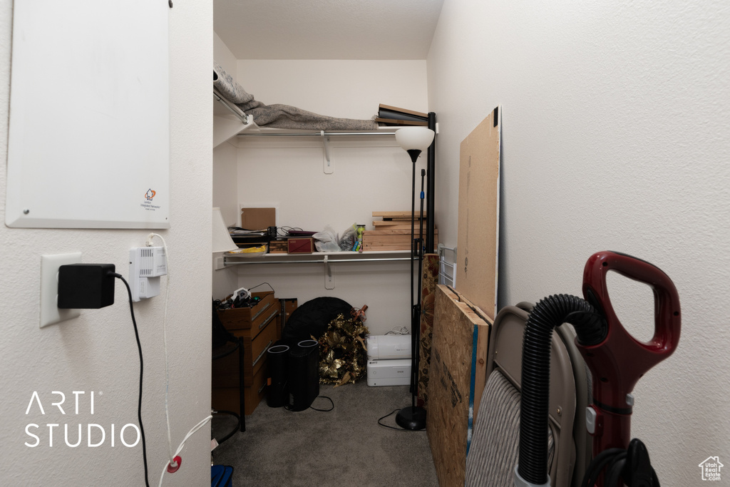 Walk in closet with carpet floors