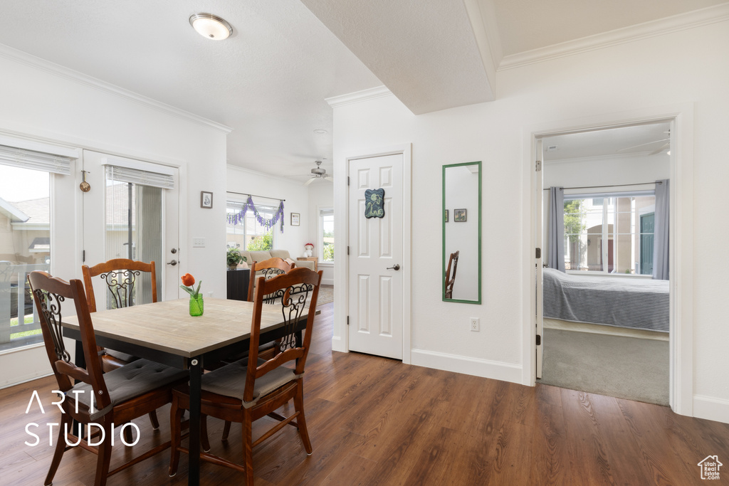 Dining space with ornamental molding, wood finished floors, and a ceiling fan