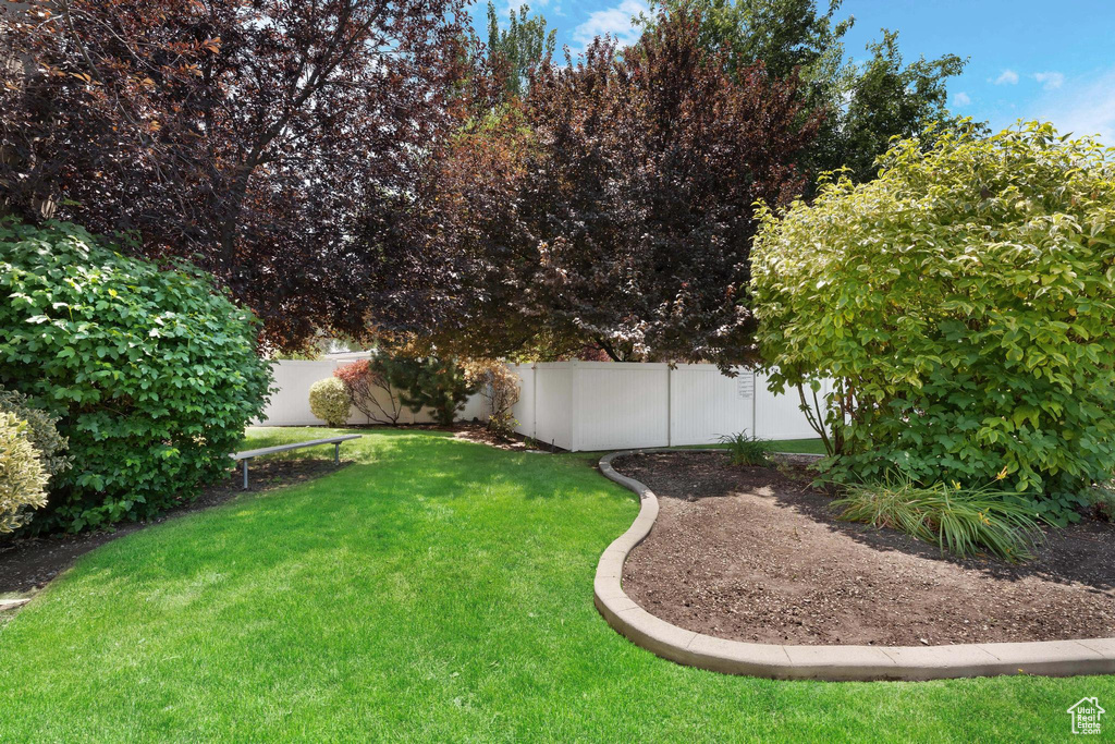 View of fenced backyard