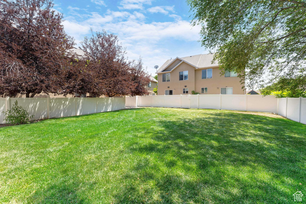 View of fenced backyard