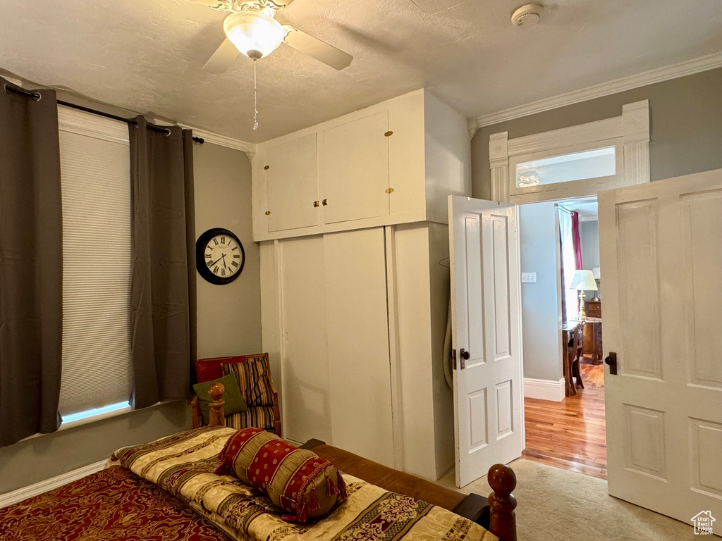 Bedroom featuring ornamental molding and a ceiling fan