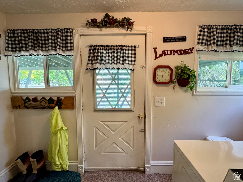 Entryway with healthy amount of natural light and dark carpet