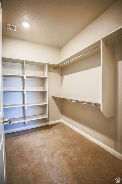 Walk in closet featuring carpet flooring