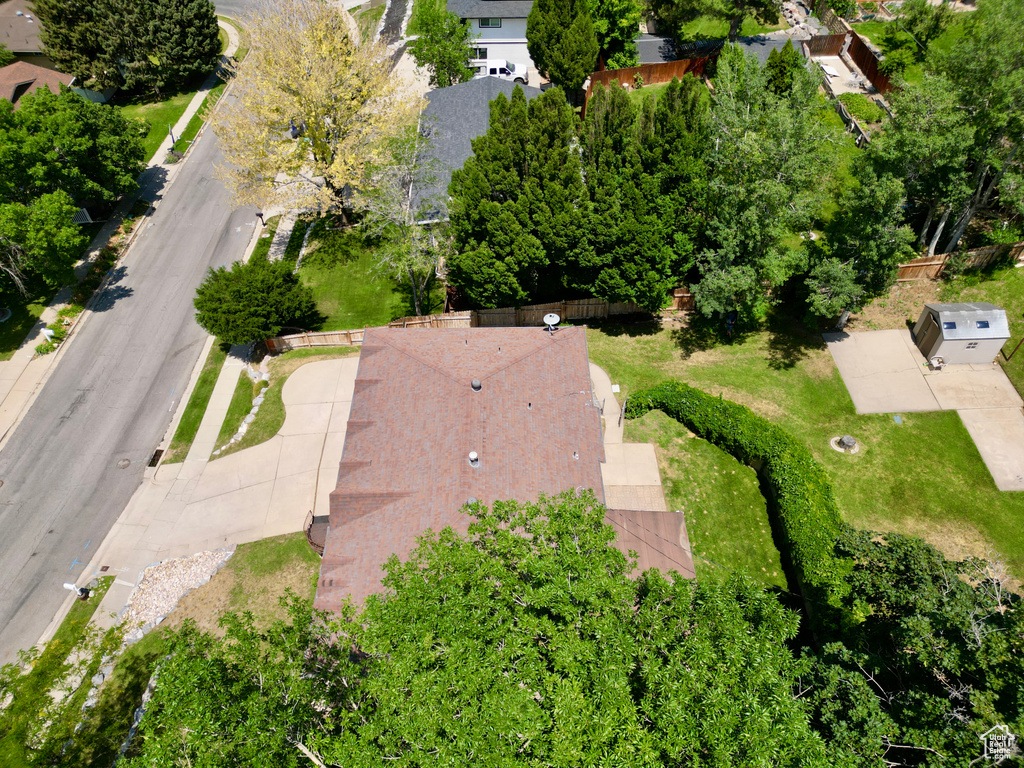 Bird\\\'s eye view