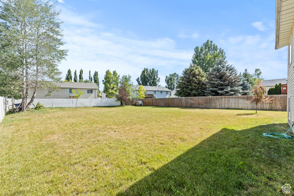 View of fenced backyard