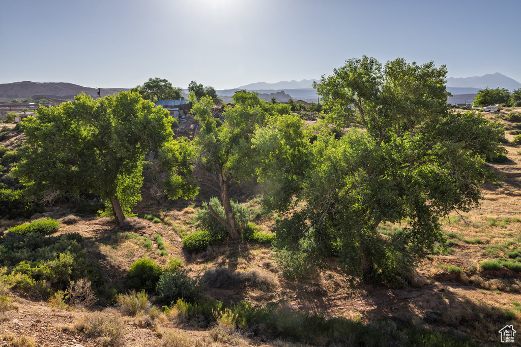 View of mountain background