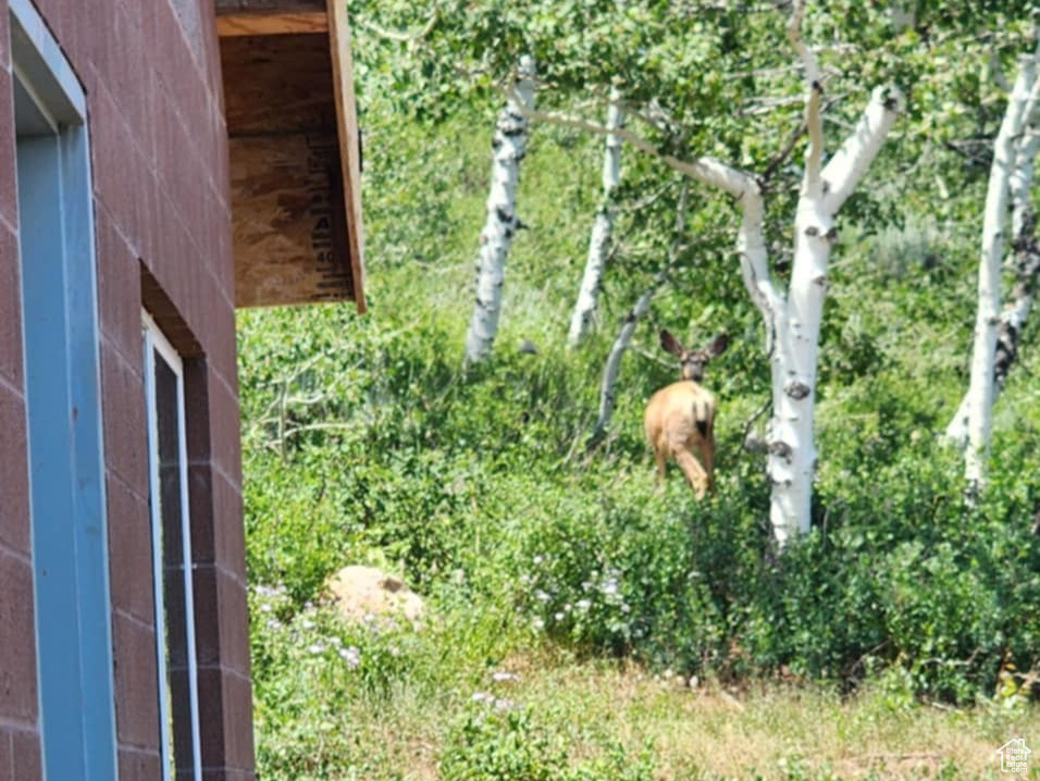 8153 JOHN FREMONT DR #H212 Huntsville, UT 84317