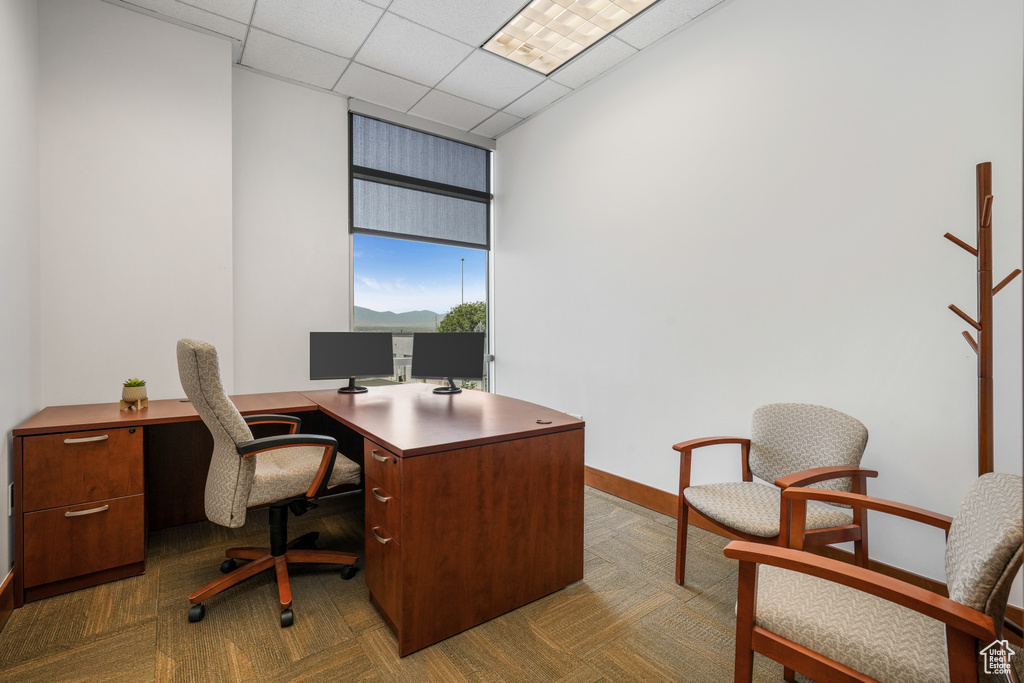 Office area with carpet and a drop ceiling