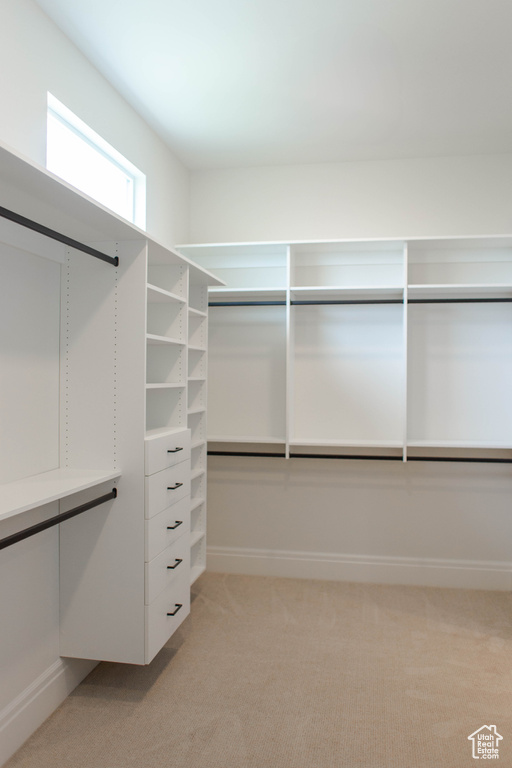 Spacious closet featuring light colored carpet