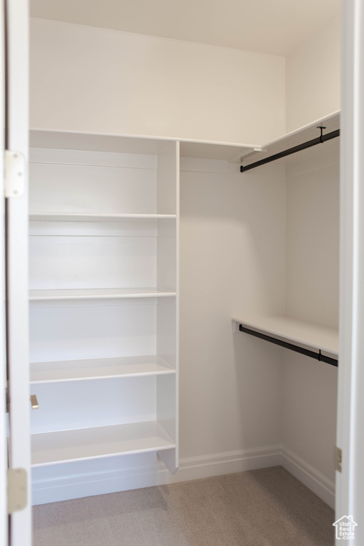 Spacious closet with carpet flooring
