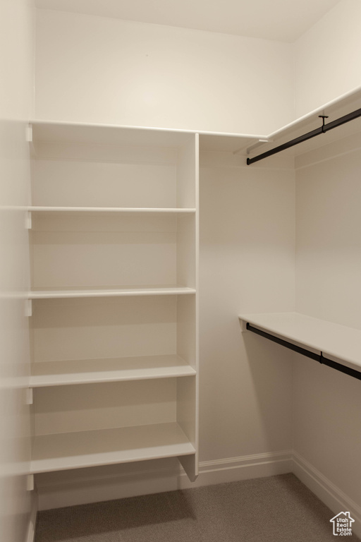 Walk in closet with carpet flooring