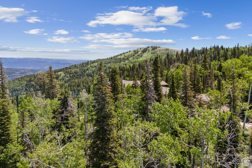 View of mountain background with a heavily wooded area