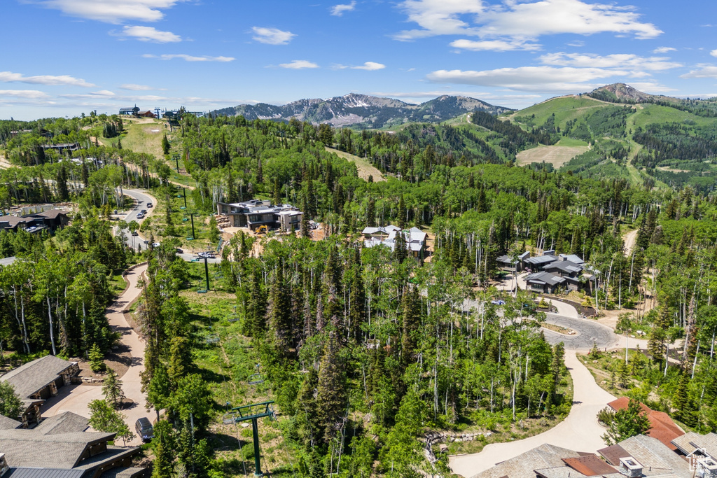 Bird's eye view of mountains and a heavily wooded area
