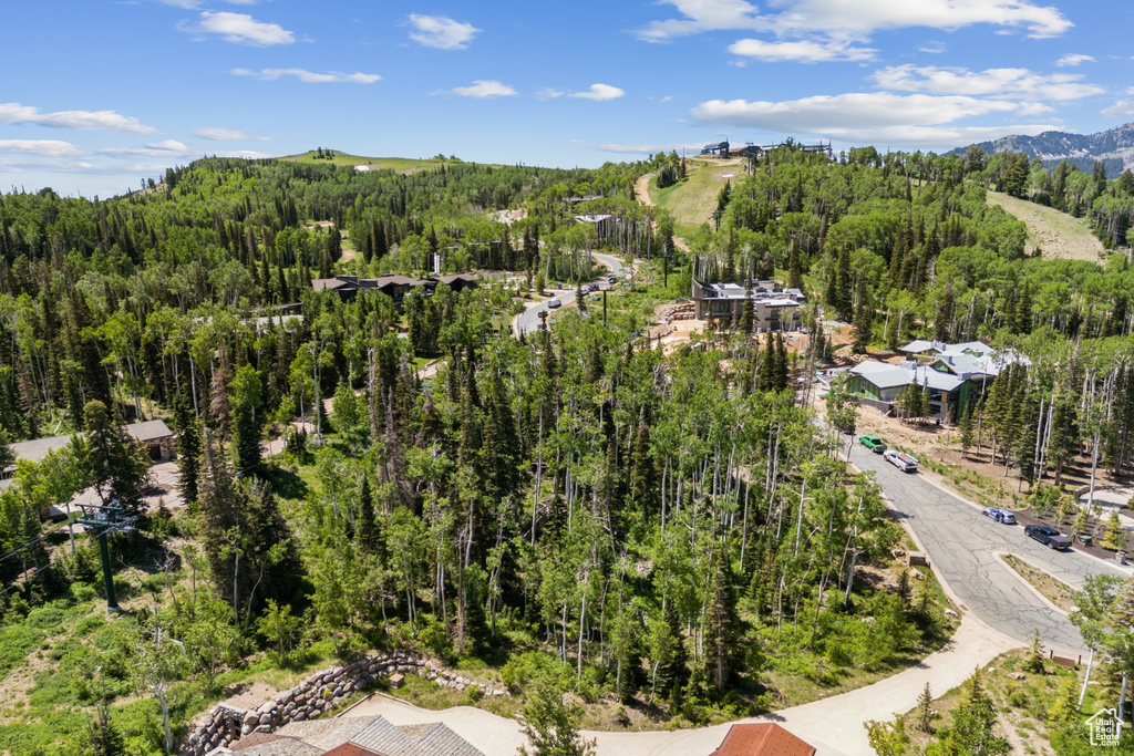 Bird's eye view of a heavily wooded area and mountains