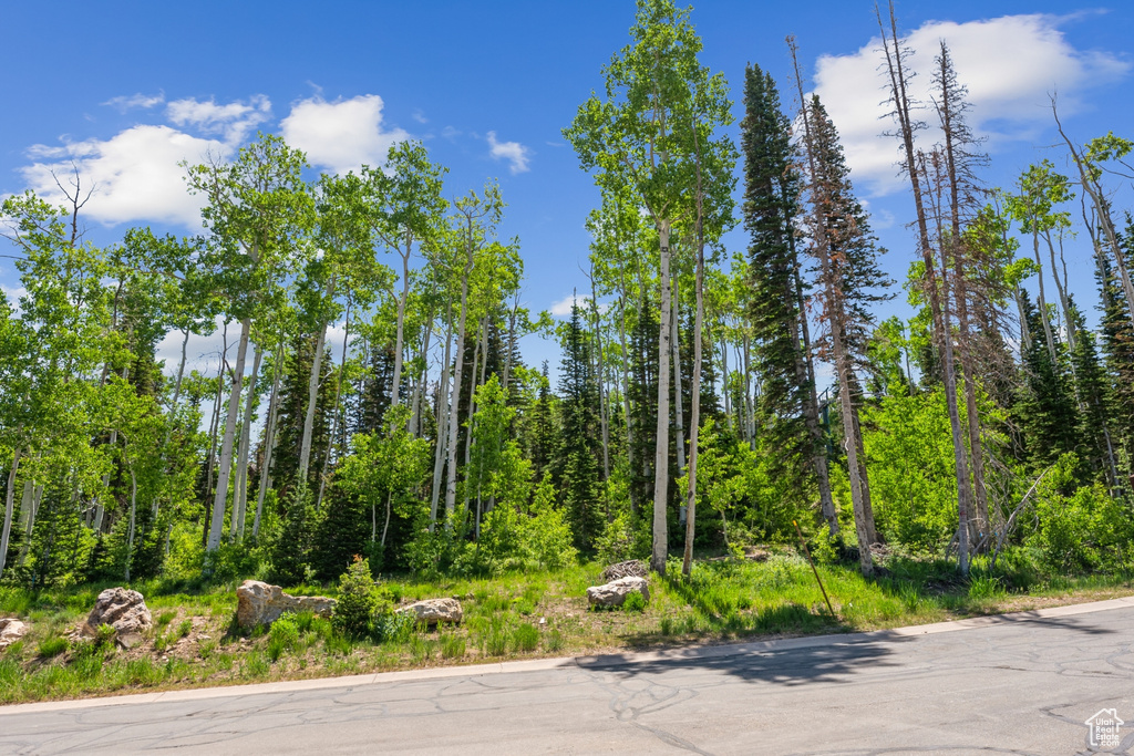 View of asphalt road