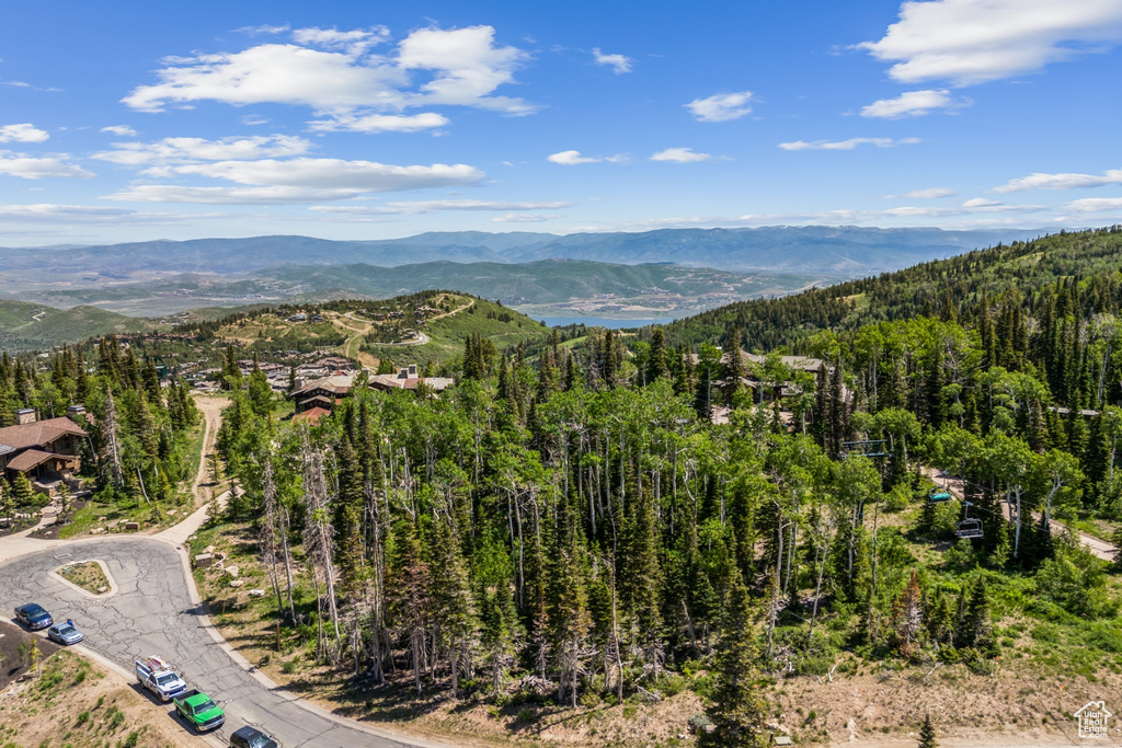 View of mountain background with a heavily wooded area