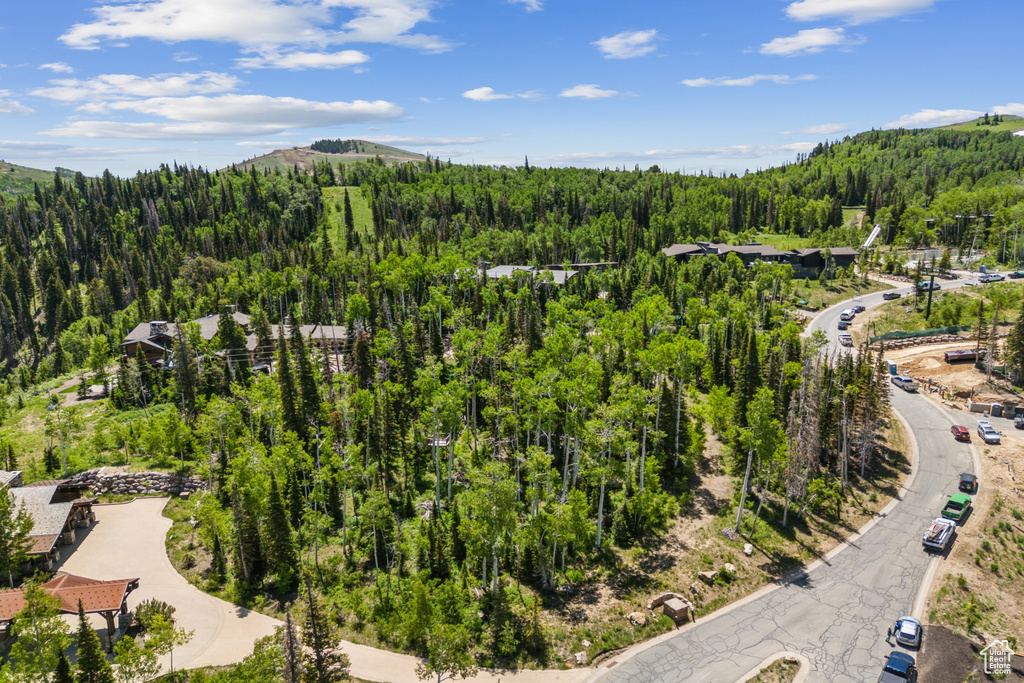Bird's eye view of a heavily wooded area and a mountainous background