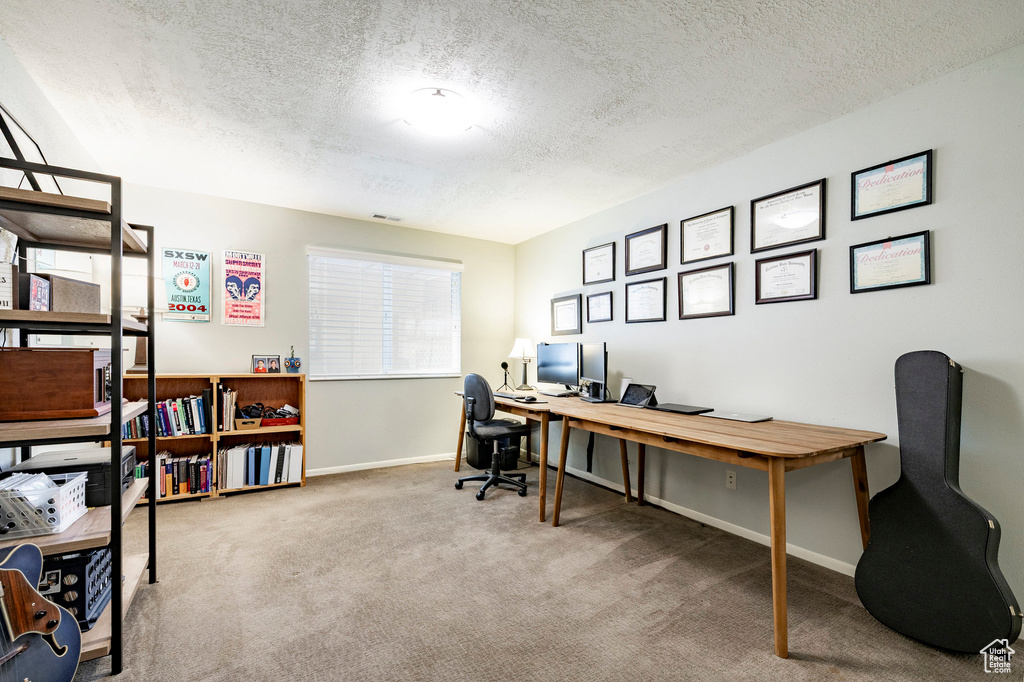 Office featuring carpet floors and a textured ceiling