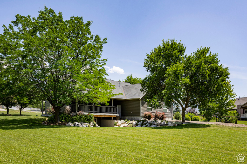 View of grassy yard