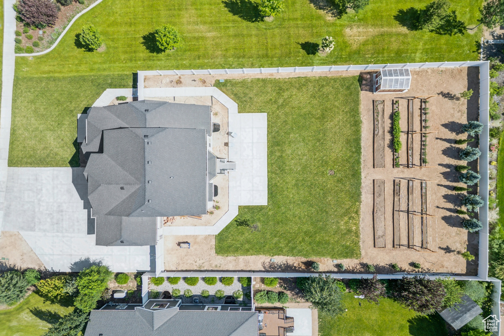 Bird\'s eye view