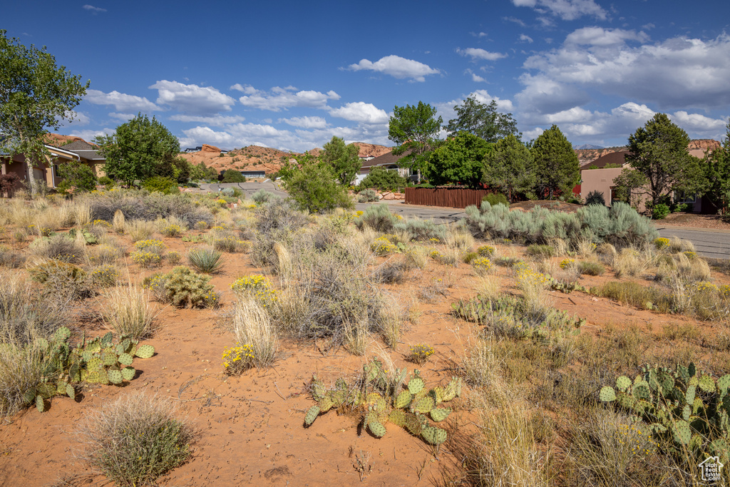 View of local wilderness