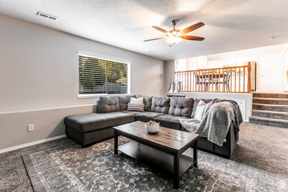 1036 W 500 N Pleasant Grove, UT 84062