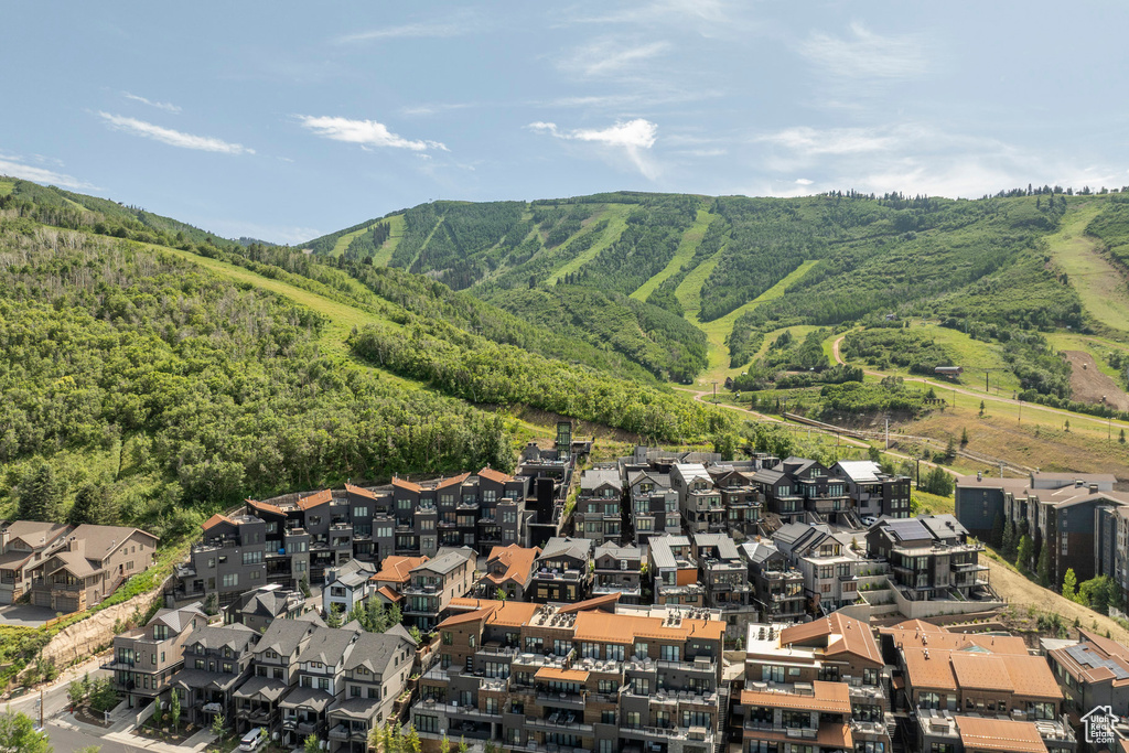 Bird's eye view of a heavily wooded area and a mountainous background